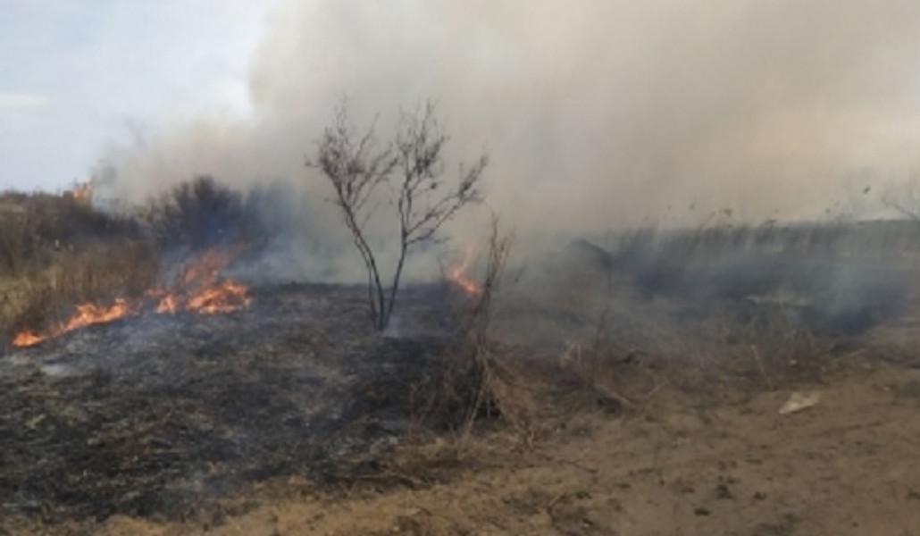 thumbnail_Այրվել է մոտ 9 հա խոտածածկույթ