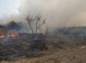 Արարատի մարզի Բուրաստան գյուղի մոտ այրվել է մոտ 9 հա խոտածածկույթ