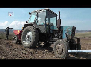 Արցախում շատերն են ձեռնամուխ եղել  մթերքների գոնե մի մասի արտադրությունը կազմակերպելու գործին