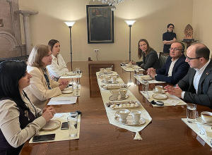 ԱՄՆ դեսպանը հանդիպել է ընդդիմադիրներին