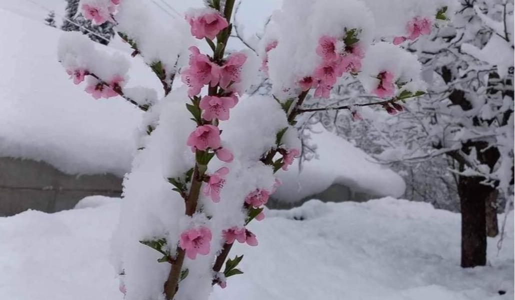 339407275_727603702390182_6852809226368527545_n