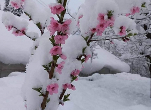 Ժամը 06։00-ից ջերմաստիճանի անկման պրոցեսը դադարել է