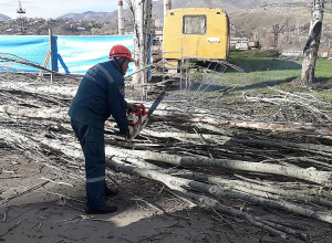 Վանաձորում բարդու ծառը տապալվել է՝ մասամբ հայտնվելով երթևեկելի գոտում