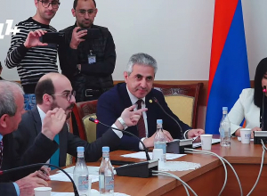 Кого вы называете неуравновешенным? Депутат от ГД назвал шутом кандидата в Омбудсмены от оппозиции