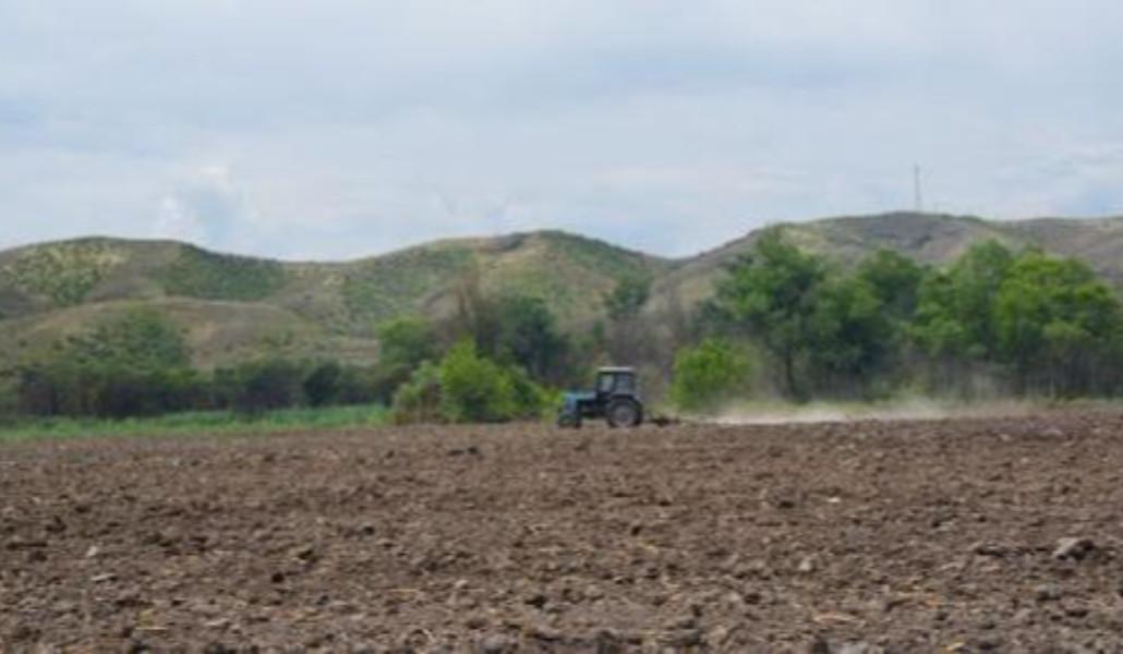 339739414_179147258290653_8220421698666171491_n