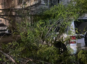 Ուժեղ քամուց ծառի ճյուղերը կոտրվել են եւ ընկել մեքենայի վրա