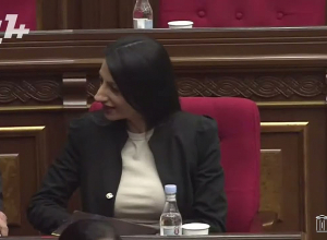 За этим ничего нет, за этим нет позиции: Манукян – о кандидате в Омбудсмены