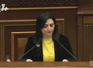 Использовалась другая уличная лексика - это заседание было историческим позором: Тагуи Товмасян