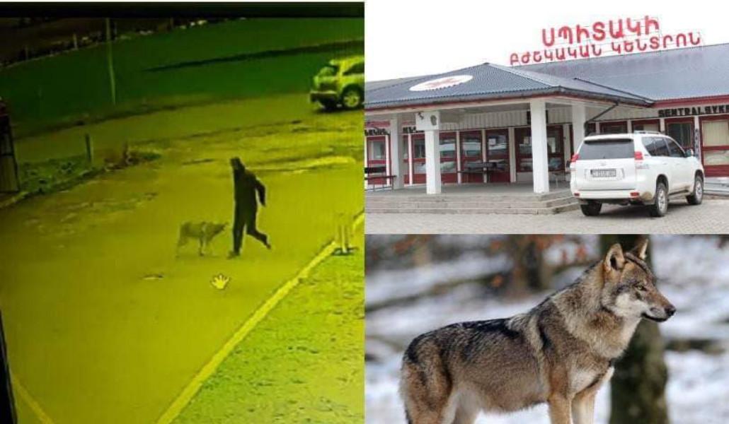 340832878_1280449019225913_4239802200180761446_n