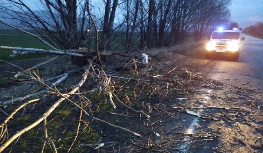 thumbnail_IMG-49425e0dbe9b205f2883f537c77e9ce7-V