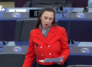 Չպետք է աչք փակել․շվեդացի Բորյանա Աբերգը Ադրբեջանի գործողությունները համարեց  ցեղասպանության վտանգ