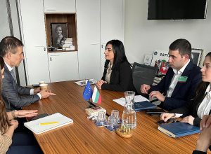 Պարոն Կովաչևին ներկայացրի նաև «ժողովրդավարության բաստիոն» Հայաստանում մարդու իրավունքների շարունակ ոտնահարումները․ Թ․ Թովմասյան