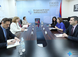 Անահիտ Ավանեսյանն ընդունել է ԱՄՆ դեսպանին