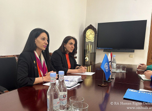 Պաշտպանն ու ՅՈՒՆԻՍԵՖ-ի ներկայացուցիչը քննարկել են երեխաների իրավունքների պաշտպանությանն առնչվող մի շարք հարցեր