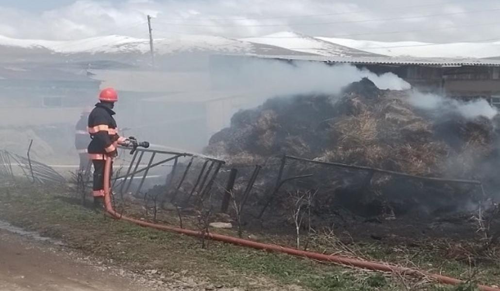 thumbnail_տեղադրված