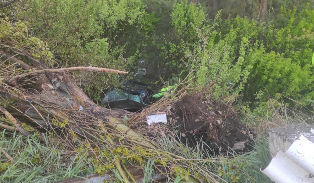 345437964_508090791397609_2423364046664649013_n