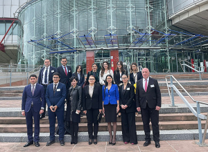 Անահիտ Մանասյանը Ստրասբուրգում մասնակցել է ՄԻԵԴ վճիռների կատարման ինստիտուցիոնալ մակարդակի ամրապնդման հարցերի քննարկմանը