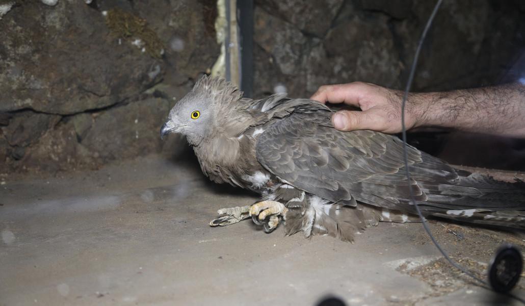 346279293_145366198417617_7960404824487497948_n