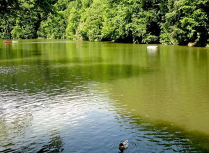 Փակ է լինելու Պարզ լիճ տանող ճանապարհը