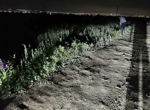 Վեճն ավարտվել էր դանակահարությամբ․ Վաղարշապատի ոստիկանների բացահայտումը