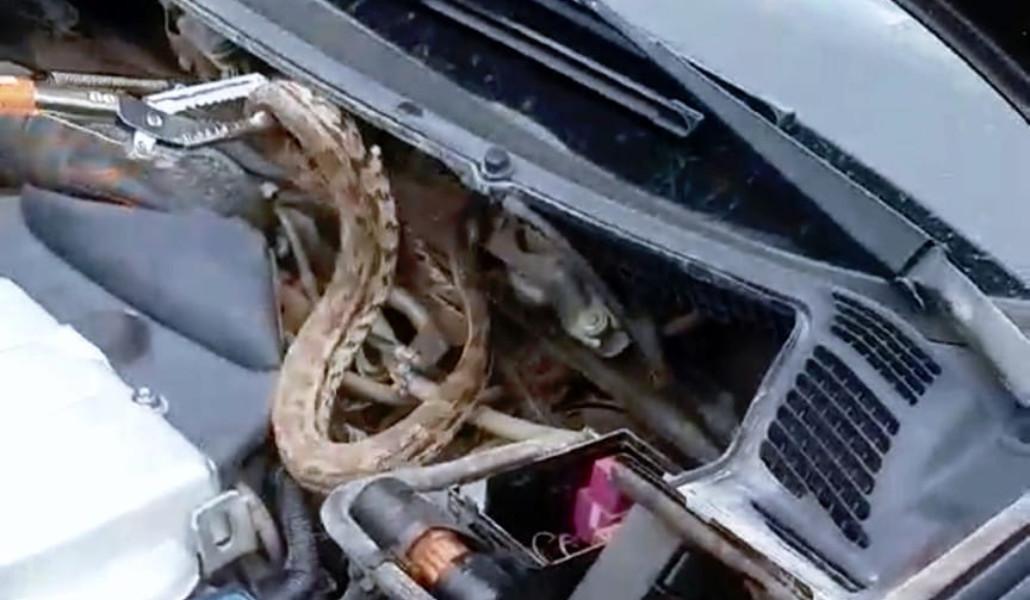 349007816_774268877670677_2773358426286547091_n