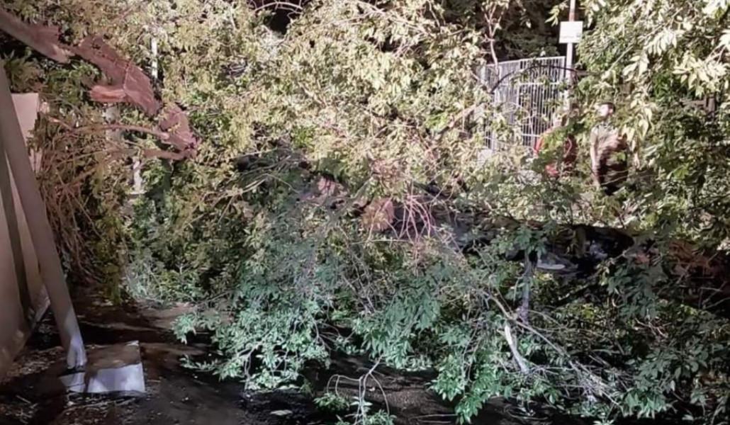 FB_IMG_1684981936323