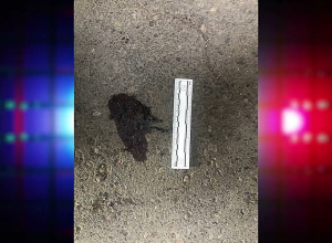 Նոր Հաճնում վիճաբանությունն ավարտվել էր դանակահարությամբ