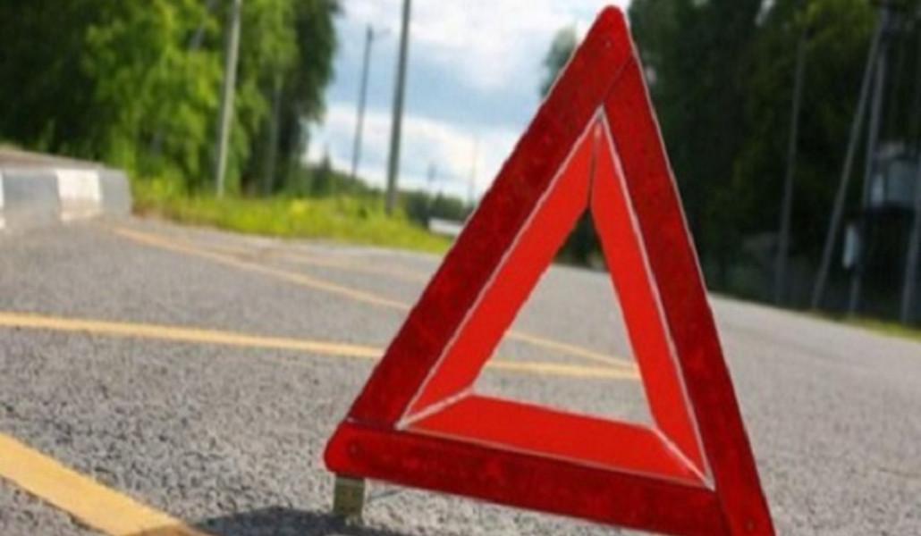 350117573_642310000655078_642024897135750533_n