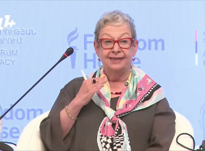 Я хочу, чтобы Армения ратифицировала Стамбульскую конвенцию: посол ЕС