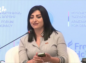 В нашем доме в Варденисе мы спим по очереди, так как не знаем, что будет ночью: Тагуи Товмасян