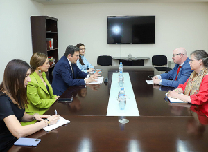 ՀՀ ԱԳ նախարարի տեղակալն ընդունել է ԵԽԽՎ իռլանդացի պատգամավոր Փոլ Գավանին