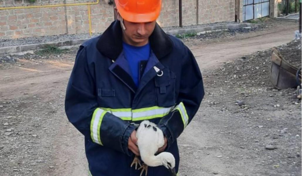 350128861_753679113148608_2352420167956722390_n