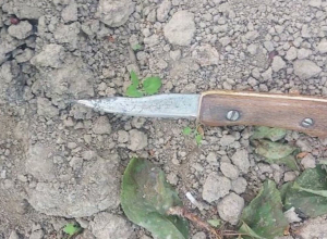 Две прерванные и искалеченные судьбы: Полиция Арташата раскрыла преступление