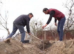 Սեզոնային զբաղվածության ծրագրի բյուջեն եռապատկվել է