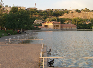 Հայտնի են Վարդավառի լճում անկած ձկների և ջրի լաբորատոր հետազոտությունների արդյունքները