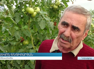 Սեղանին՝ սեփական արտադրության բանջարեղեն