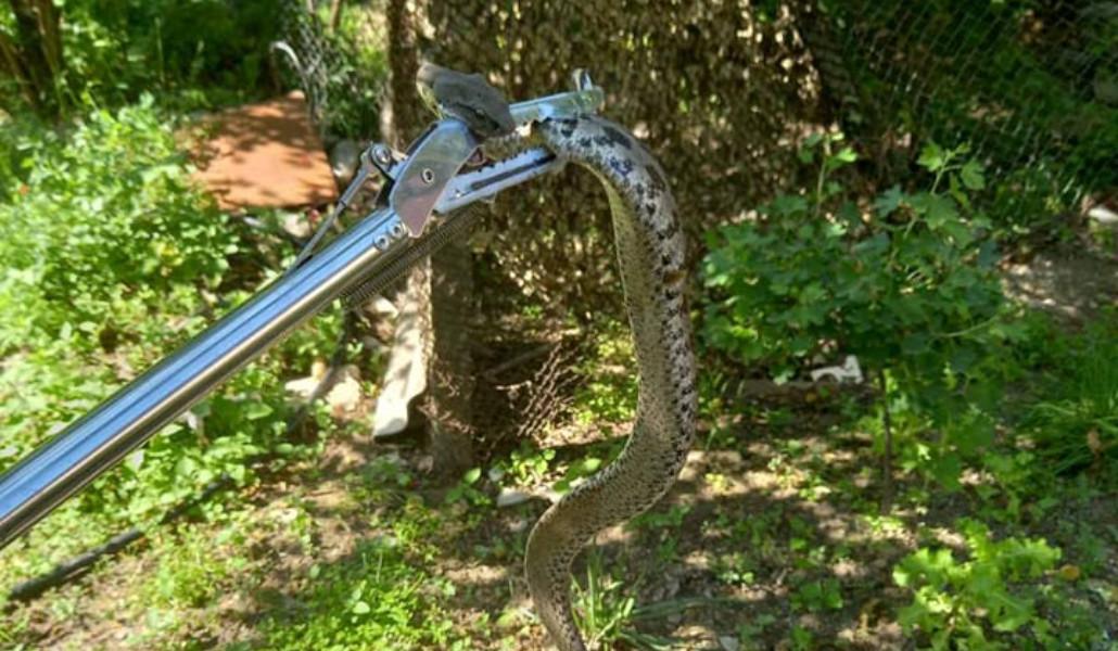 352233508_642147767931395_1568540906828070359_n