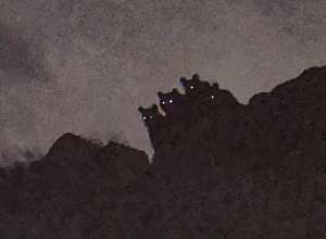 Վերջին մի քանի տարիներին նկատվում է գորշ արջերի կողմից Վայոց ձորի բնակավայրերում  գյուղական տնտեսությունների վրա հարձակումների թվի աճ