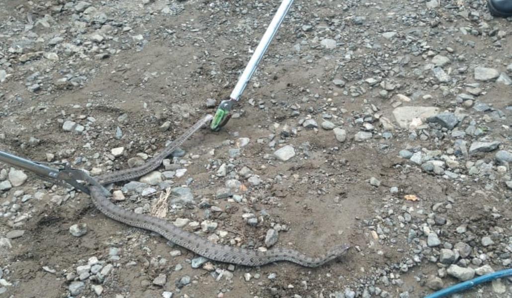 347402731_646850594127779_1920600674055379518_n