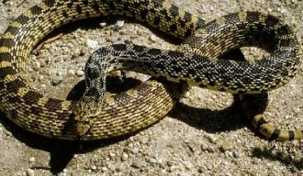 347615458_206095472386563_6118214622744439260_n