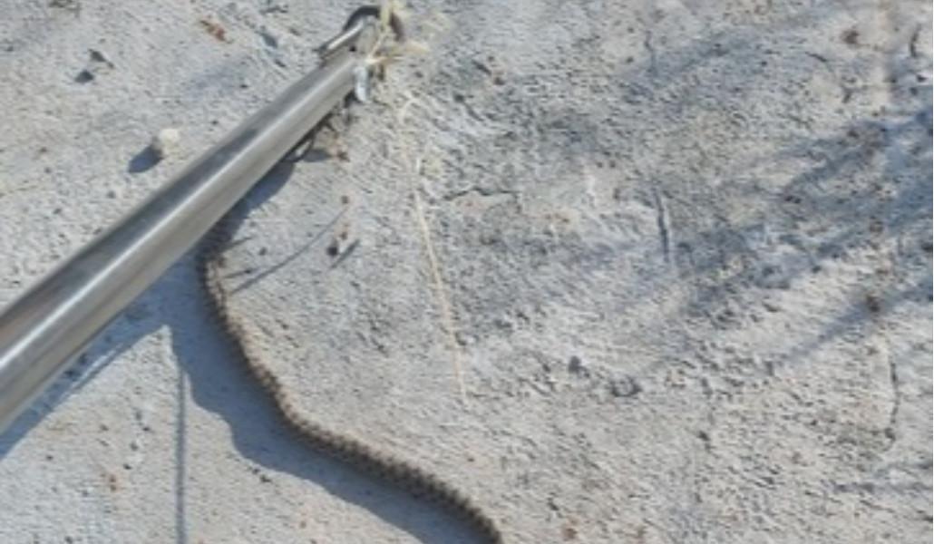 347566305_215088721487238_6912047714397170090_n