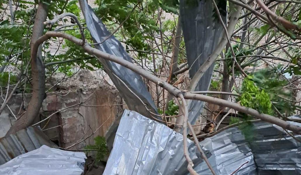 358051604_216935821302528_8430343880005118270_n