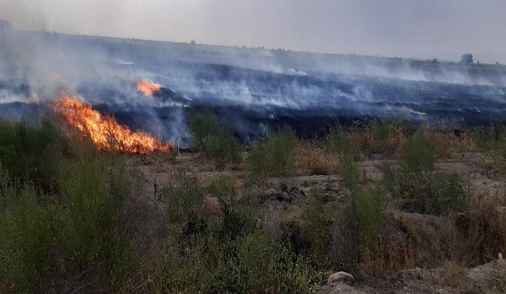 358593578_220180504311393_2117753485020319201_n