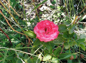 Օդի ջերմաստիճանն աստիճանաբար կնվազի 6-8 աստիճանով