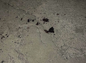 Կեսգիշերային վեճ ու դանակահարություն Նոր Արտամետում․ Նաիրիի ոստիկանների բացահայտումը