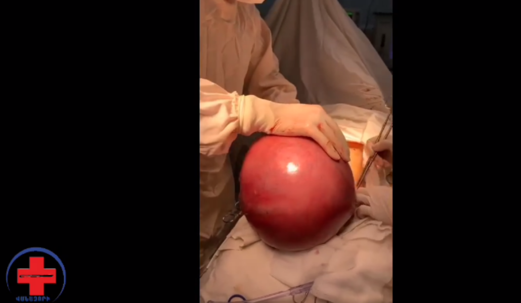 358833118_2075848006084769_349900908915681663_n