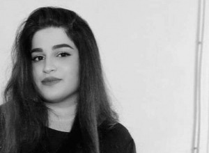   «Հարցրի՝ պատգամավոր դառնա՞մ, թե՞ նախարար, մաման պատասխանեց՝  նախարար, բալես»