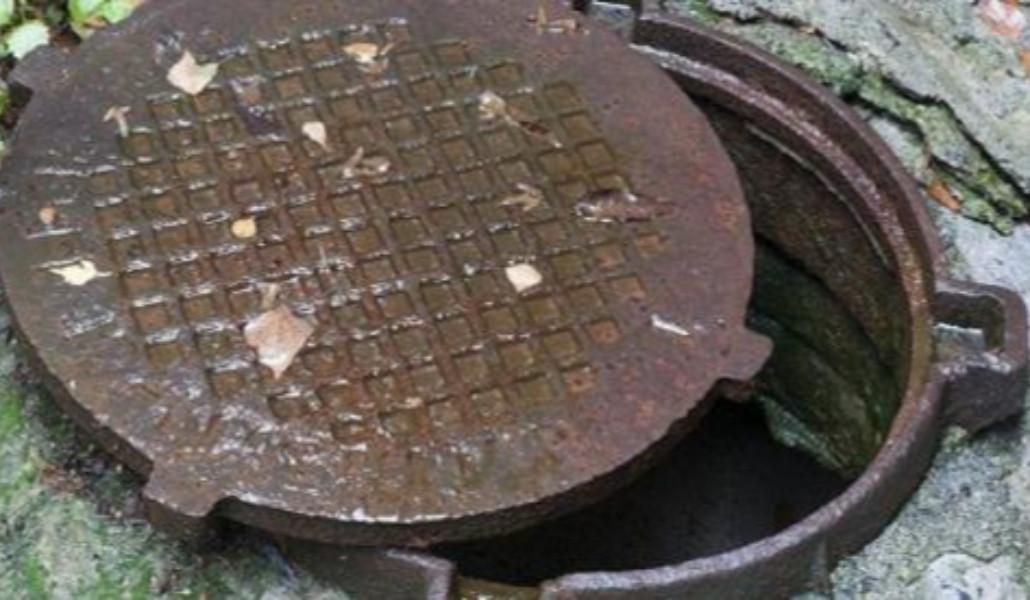 f2b4423e-5808-475d-b139-6c9dda7188c5