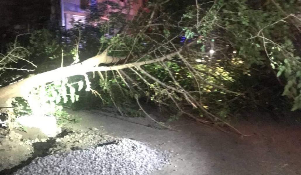 FB_IMG_1689657626862