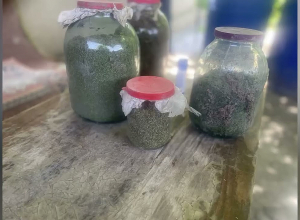 Երկու կգ-ից ավելի թմրամիջոց էր թաղել հողում